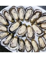 Pacific Oysters Marlborough Half Shell (Per Dozen)/Frozen 