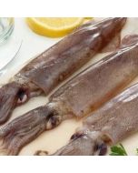 Squid NZ Arrow 100g-200g Whole Premium 1kg Pack/Frozen