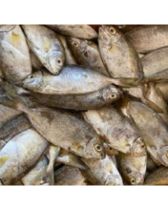 Rabbit Fish (300-500g) 1kg Pack/Frozen 