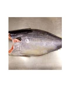 Yellowfin Tuna NZ Gilled & Gutted/Fresh